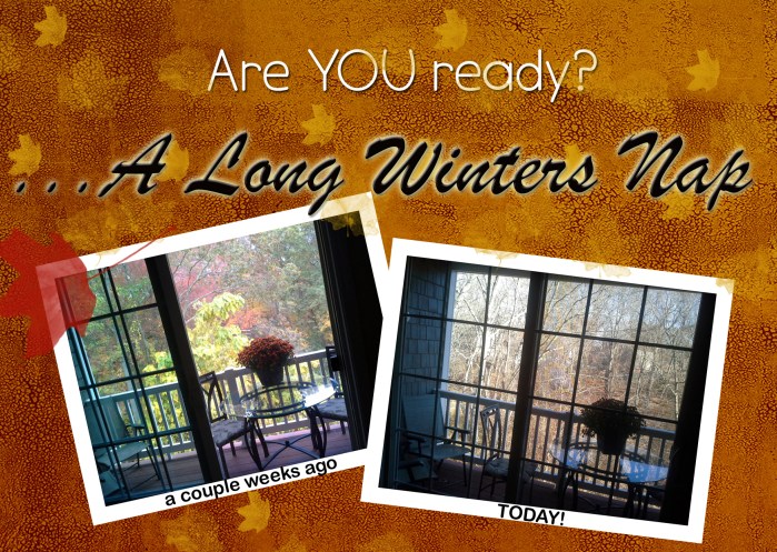 Winters Nap